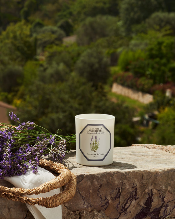 Lavender - Lavandula Angustifolia Carrière Frères Scented Candle 185g