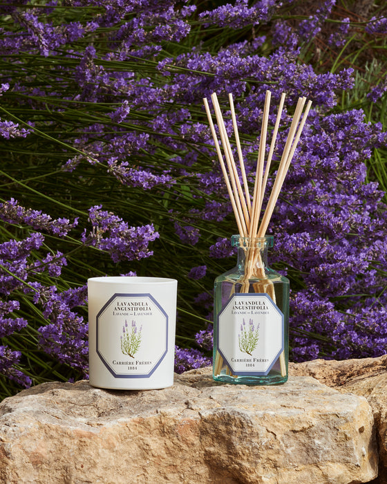 Lavender - Lavandula Angustifolia Carrière Frères Scented Candle 185g