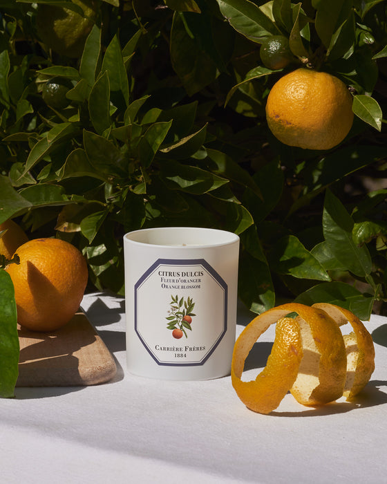 Orange Blossom - Citrus Dulcis Carrière Frères Scented Candle 185g