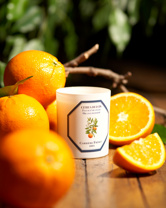 Orange Blossom - Citrus Dulcis Carrière Frères Scented Candle 185g