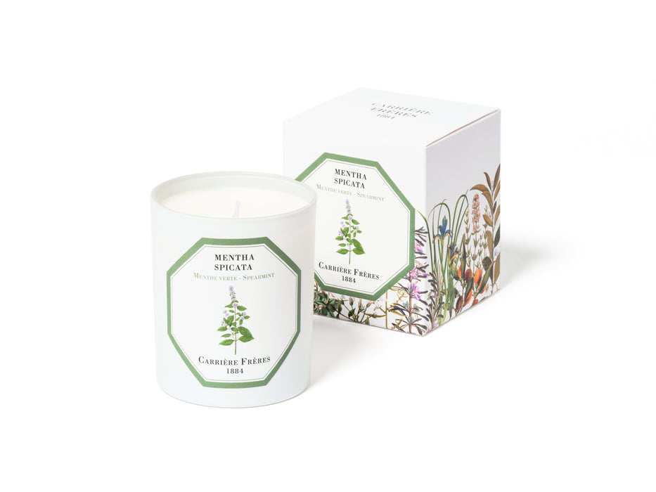 Spearmint - Mentha Spicata （薄荷） Carriere Freres Scented Candle 185g