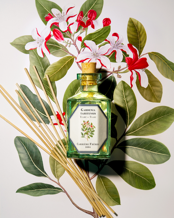 Tiare - Gardenia  Tahitensis( 梔子花) Carriere Frères Diffuser 200ml