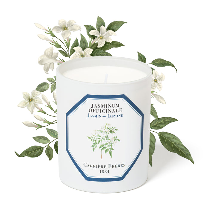 Jasmine - Jasminum Officinale Carrière Frères Scented Candle 185g