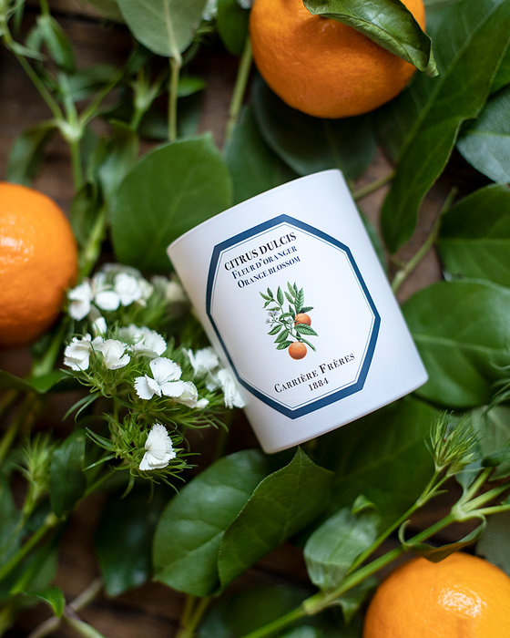 Orange Blossom - Citrus Dulcis Carrière Frères Scented Candle 185g