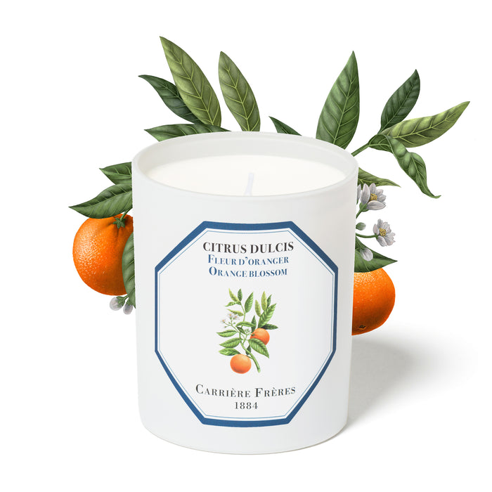 Orange Blossom - Citrus Dulcis Carrière Frères Scented Candle 185g