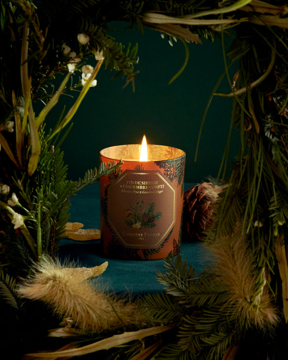 HOLIDAY Siberian Pine & Candied Ginger - Carrière Frères Scented Candle 185g