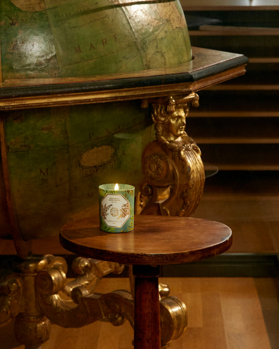 Absinthe ( Artemisia ) - The Museum Collection Carrière Frères Scented Candle 185g 苦艾