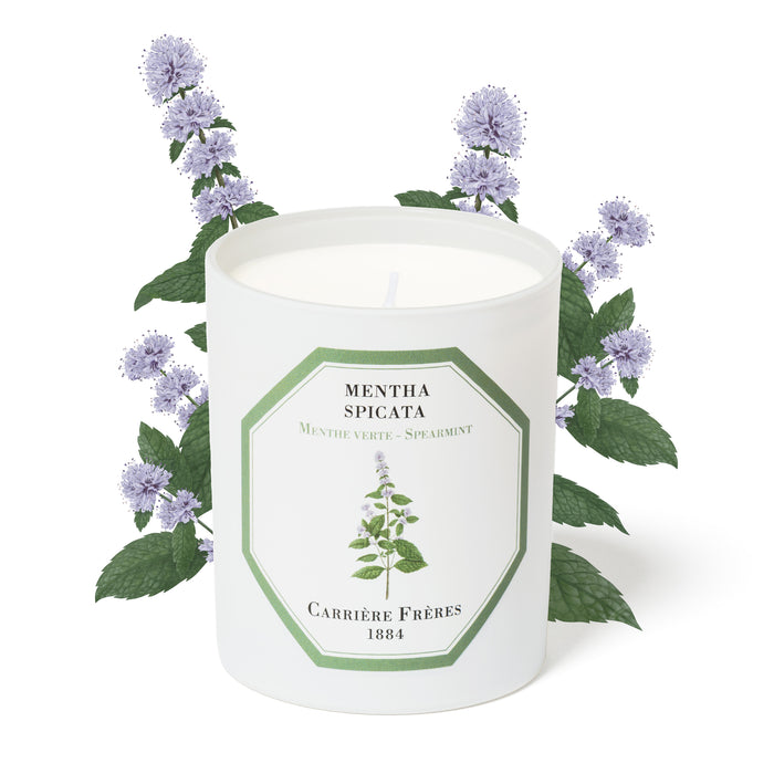 Spearmint - Mentha Spicata （薄荷） Carriere Freres Scented Candle 185g