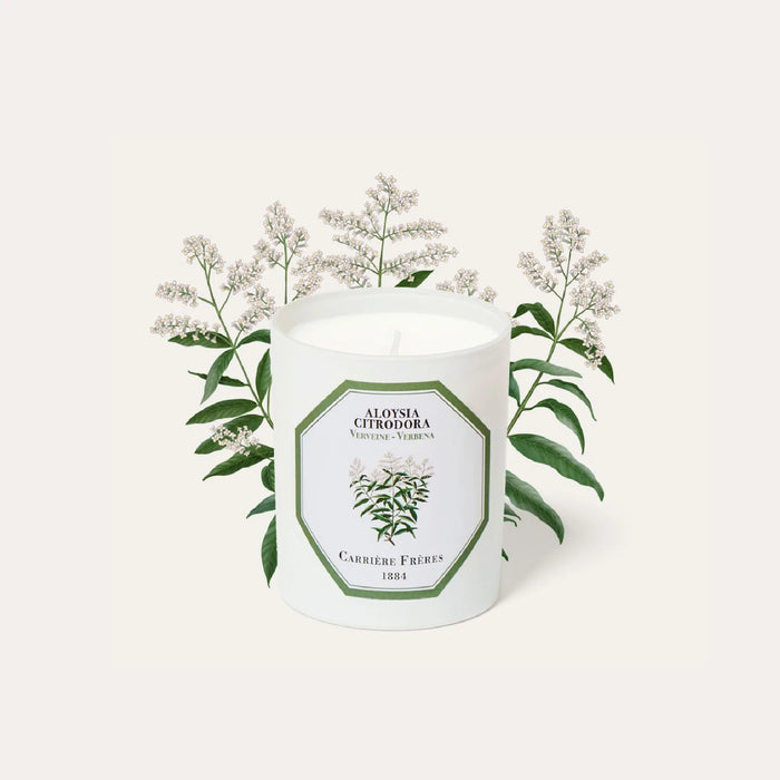 Verbena- Aloysia Citrodora (馬鞭草）Carrière Frères Scented Candle 185g
