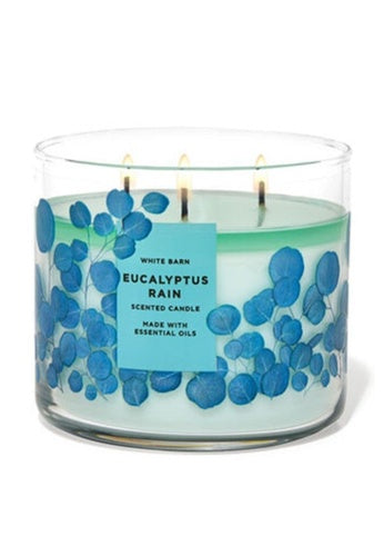 Eucalyptus Rain - Bath and Body Works Candles/ CLOUD HK/